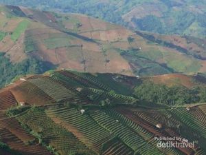 Indahnya Panorama Terasering Panyeweuyan Argapura