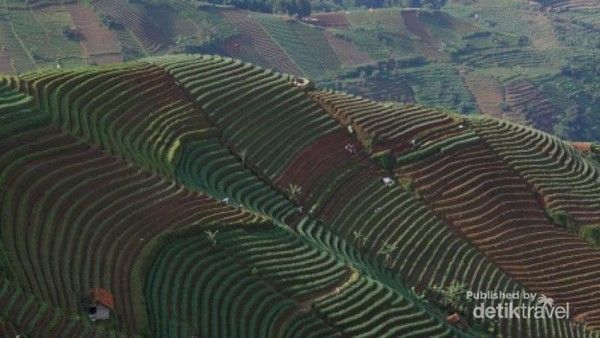 Terasering Panyeweuyan Argapura Majalengka