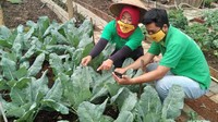 Petugas penyuluh memberikan penjelasan kepada Ketua Kelompok Wanita Tani (KWT) Anthurium Yuliana Darmawan mengenai penyakit tanaman kubis dan cara pengendaliannya menggunakan aplikasi Sipindo di Perumahan Pondok Arum, Kelurahan Nambo Jaya, Kota Tangerang.