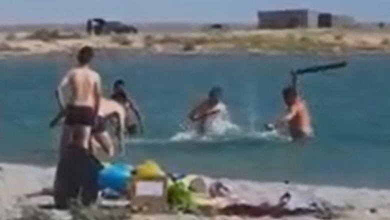 Anjing Laut dipukuli di Kazakhstan Anjing Laut dipukuli di Kazakhstan