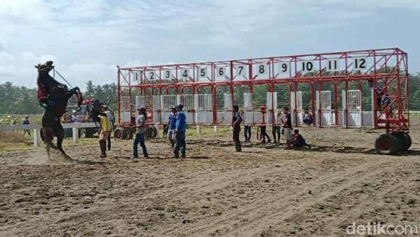 Mereka berderet di pinggir lapang menyaksikan satwa perkasa itu beraksi melibas lintasan. Arena pacuan kuda Legok Jawa ini pernah menjadi venue pacuan kuda PON 2016. (Faizal Amiruddin/detikTravel) Mereka berderet di pinggir lapang menyaksikan satwa perkasa itu beraksi melibas lintasan. Arena pacuan kuda Legok Jawa ini pernah menjadi venue pacuan kuda PON 2016. (Faizal Amiruddin/detikTravel)