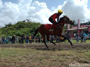 Berwisata ke Pantai Madasari Sembari Melihat Aksi Kuda Pacu