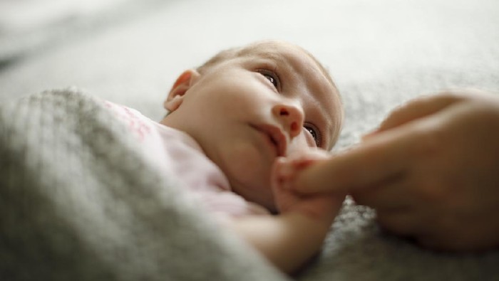 Bayi Baru Lahir Bayi Baru Lahir