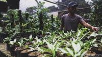Lokasinya terletak di kawasan Curug, Bojongsari, Depok, Jawa Barat.