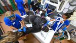 Potret Shango, Gorila yang Dites Swab di Miami