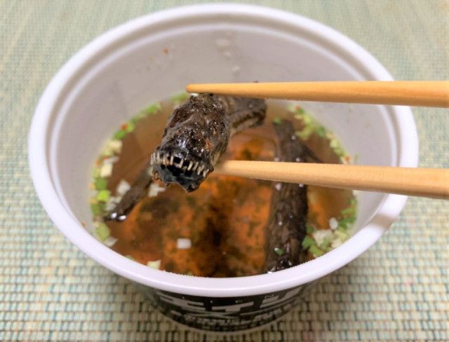 Kombinasi Makanan Aneh
