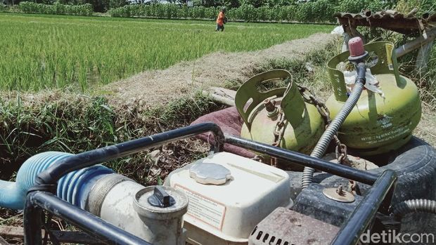 Para petani menggunakan tabung gas 3 kg untuk bahan bakar diesel pompa air