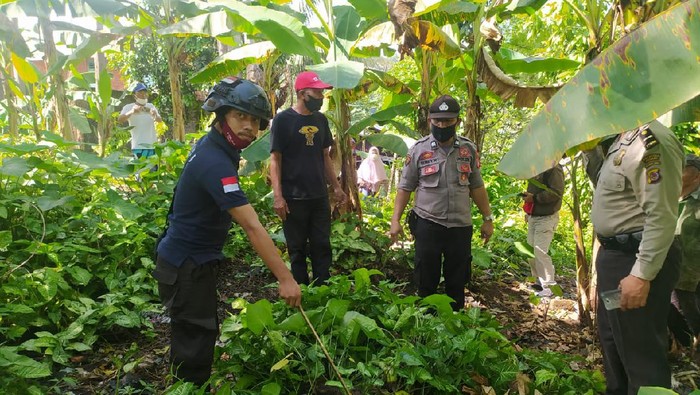 Penemuan bayi di kompleks pekuburan di Minahasa gegerkan warga (dok. Istimewa)