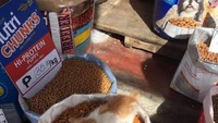 Pak Marsidik mana ya? Ini kucingnya lagi enak-enakan mukbang di warung orang. Si kucing pasti kenyang banget tuh makan sekarung santapan lezat. Meow! Foto: Facebook Menjadi Bapak-bapak