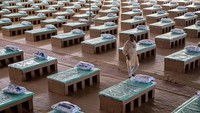 Tampak seorang sukarelawan berjalan melewati tempat tidur sekali pakai yang terbuat dari kardus di kampus Radha Soami Satsang Beas, sebuah pusat perawatan virus Corona yang dibangun di New Delhi, India.