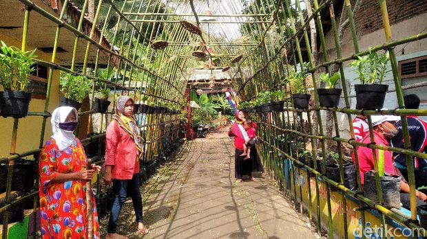 Taman Bunga Pangandaran