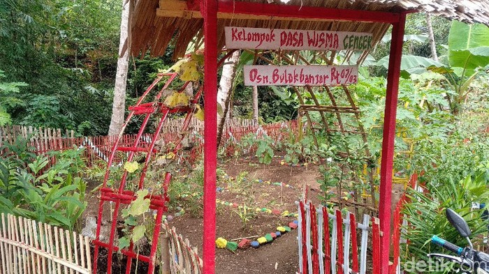 Taman Bunga Pangandaran