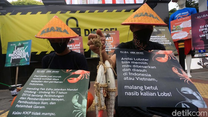 Izin ekspor benih lobster yang dikeluarkan pemerintah terus mendapat penolakan. Para aktivis dari KIARA hari berdemo di gedung KKP dan 'menyegel' gedung tersebut.