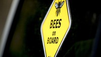 Seekor lebah bersandar pada papan tanda kuning bertuliskan Bees on Board di atas truk peternak lebah.  