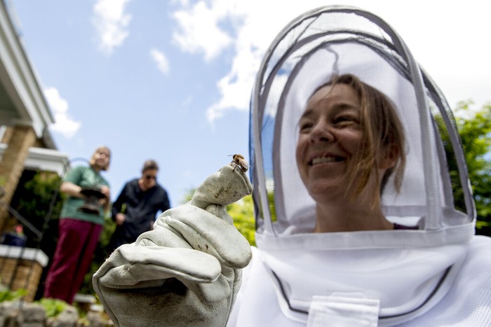 Virus Outbreak Rescuing Bees Beekeepers Sean Kennedy, right, and Erin Gleeson, left, pack up a bee box full of honeybees they removed from a fence line in a neighborhood in Anacostia, Monday, April 20, 2020, in Washington. Over the last year, beekeepers in the U.S. lost 43.7% of their honeybee colonies, according to the Bee Informed Partnership. (AP Photo/Andrew Harnik)