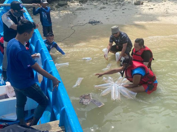 Bareskrim dan KKP lepasliarkan puluhan ribu benih lobster di Pantai Carita, Banten