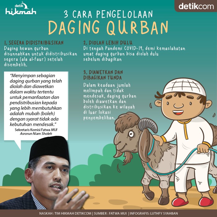 Infografis 3 cara pengelolaan hewan qurban Infografis 3 cara pengelolaan hewan qurban