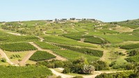 Vineyard Bodega Garzón di Uruguay, sekali lagi ada di tempat kedua, dipuji karena sistem ramah lingkungannya. Di dalamnya ada restoran kelas atas untuk mencicipi anggur, hanya ada 120 kursi yang menawarkan masakan dan pemandangan pedesaan.