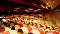 Kebun anggur terbaik keempat, Montes di Chile. Penghargaan kebun anggur atau vineyard terbaik sedunia ini didasarkan pada Voting Academy. 500 ahli anggur di seluruh dunia yang memilihnya.