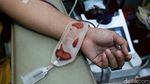 Masa Pandemi, Stok Darah PMI DKI Jakarta Menipis