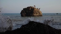 Mereka juga mendaki batu karang yang cukup besar di kawasan tersebut.