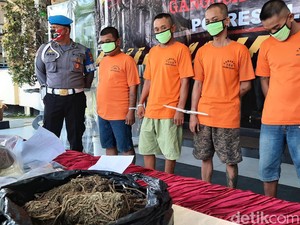 Siapa Pejabat yang Anaknya Terseret Kasus Peredaran Ganja?