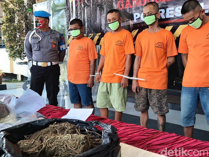 Para pengedar ganja kering di Sleman ditangkap polisi