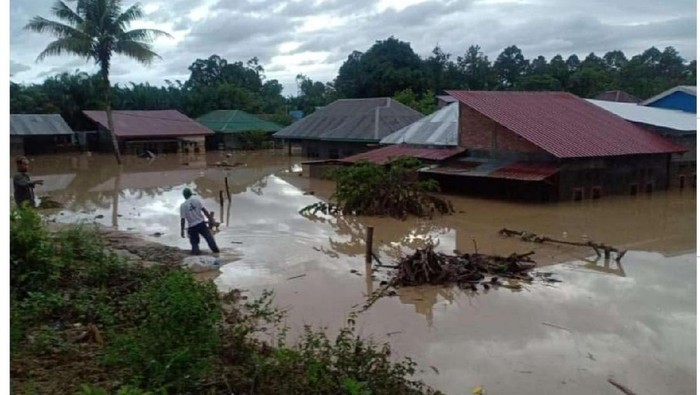 Permukiman warga di Luwu Utara terendam lumpur akibat banjir bandang (dok. Istimewa).