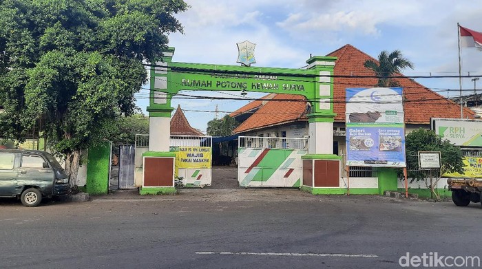 rumah potong hewan surabaya