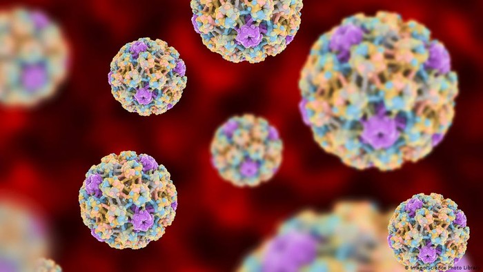 virus papilloma cancer de prostata avancado