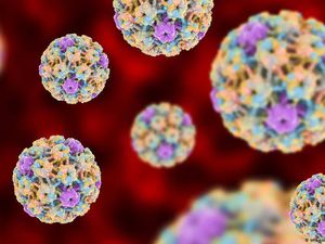 Human Papillomavirus HPV Bisa Picu Kanker Prostat Ganas?