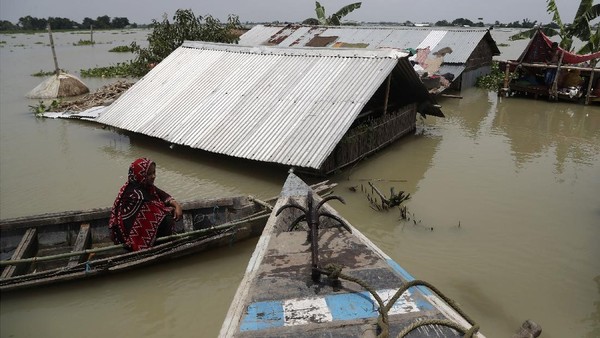 Banjir di Assam India Hampir Menyentuh Atap Rumah