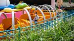Belum Sebulan Dibuka, Disneyland Hong Kong Ditutup Lagi