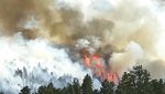 Cuaca Dingin Beri Harapan Untuk Kebakaran Hutan Colorado