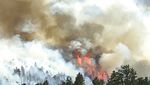 Cuaca Dingin Beri Harapan Untuk Kebakaran Hutan Colorado