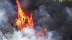 Cuaca Dingin Beri Harapan Untuk Kebakaran Hutan Colorado