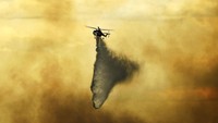Peristiwa kebakaran juga melanda kawasan hutan di Colorado. Sekitar 50 persen kawasan yang terbakar di daerah Durango berhasil dipadamkan. RJ Sangosti/The Denver Post via AP  