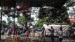 Kicau Mania, Pakai Maskernya Dong