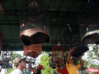 Kicau Mania, Pakai Maskernya Dong