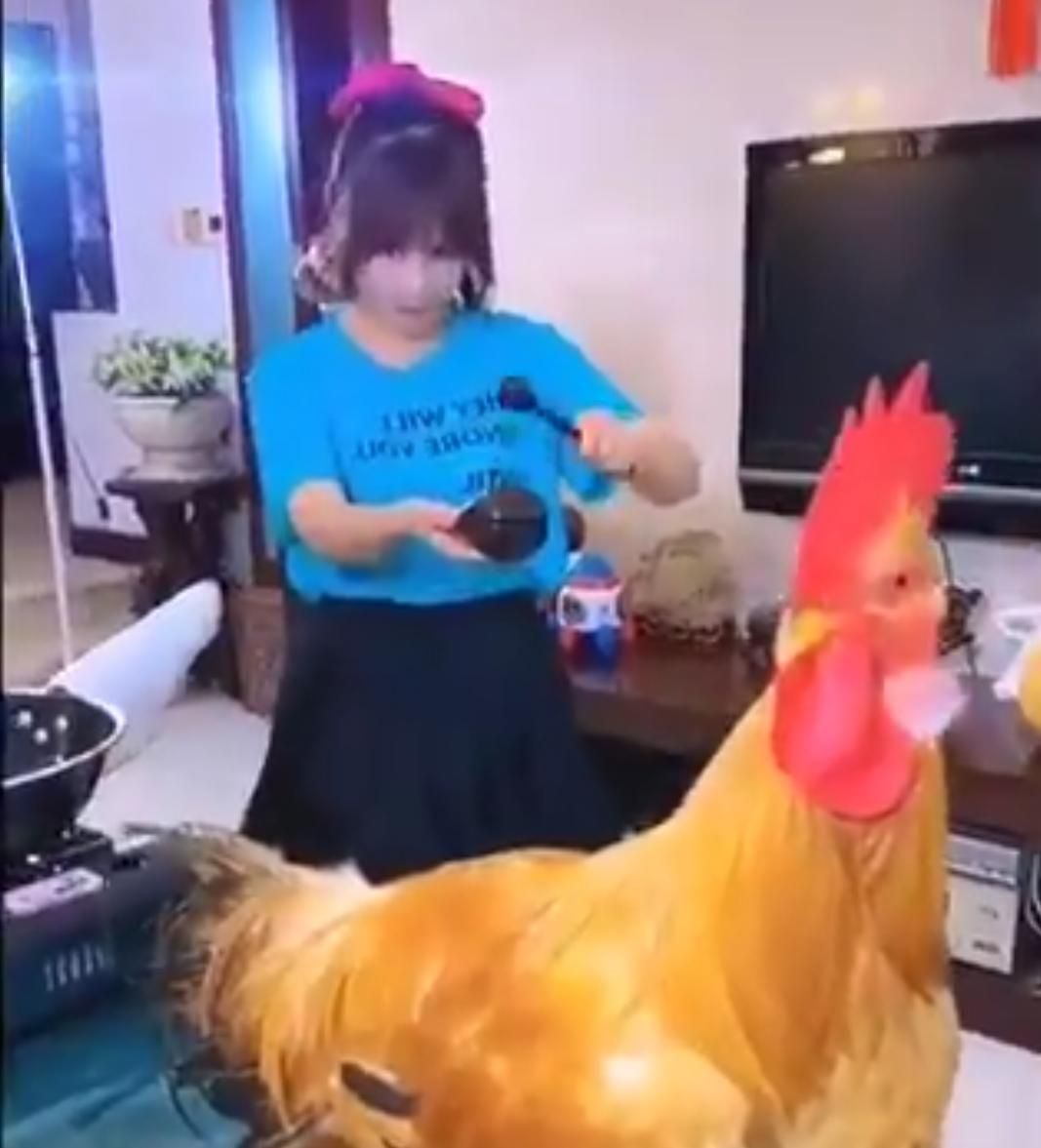 masak telur ribet