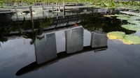 Pada kuartal I 2020 ekonomi Singapura juga telah mengalami kontraksi hingga 2,2% secara tahunan. Ore Huiying/Getty Images  