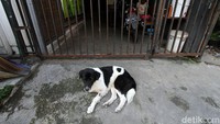 Pagar rumah warga tertutup rapat. Warga memilih beraktivitas di dalam rumah setelah akses ke perkampungan ditutup sementara.