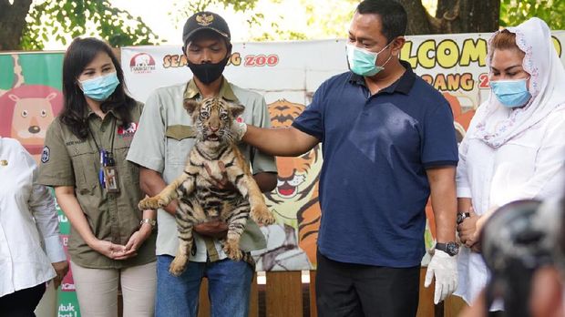 Semarang Zoo buka lagi