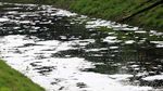 Sungai Buaran Jakarta Timur Berbusa