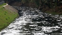 Selain merusak lingkungan, busa tebal itu juga akan mencemari aliran sungai.