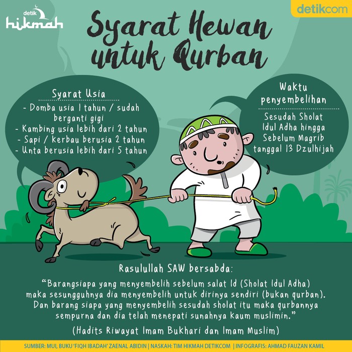 Lagi Cari Hewan Untuk Qurban Perhatikan Syarat Syarat Ini