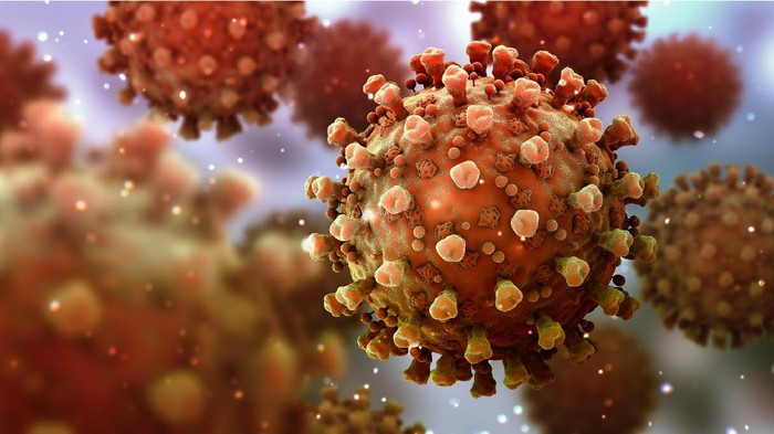Virus corona: Bisakah kita terinfeksi Covid-19 dua kali?