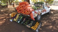 Shelton Marange bekerja sebagai mekanik sebelum diberhentikan pada bulan Mei. Setelah berhenti, ia mulai menjual sayuran yang dibelinya di desa untuk dijual di pinggiran jalan Harare.  