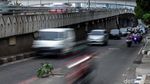 Waduh, Kok Ada Tanaman di Tengah Jalan Jakarta