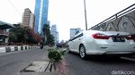 Waduh, Kok Ada Tanaman di Tengah Jalan Jakarta
